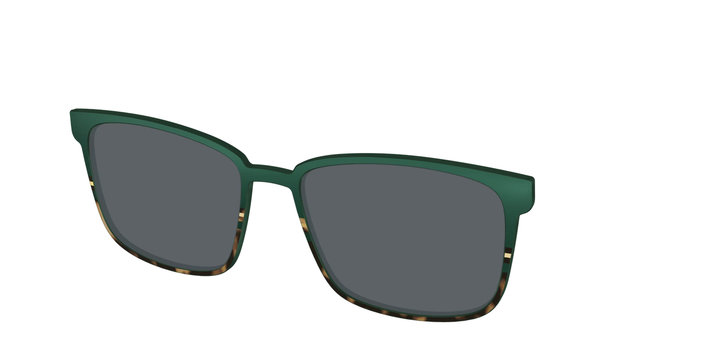 The Polarized Spruce Tortoise Sun Top