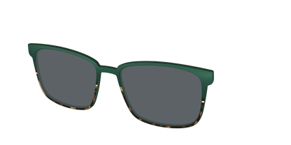 The Polarized Spruce Tortoise Sun Top