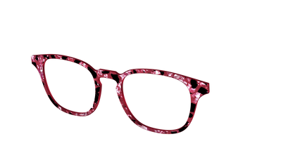 The Raspberry Pearl Tortoise