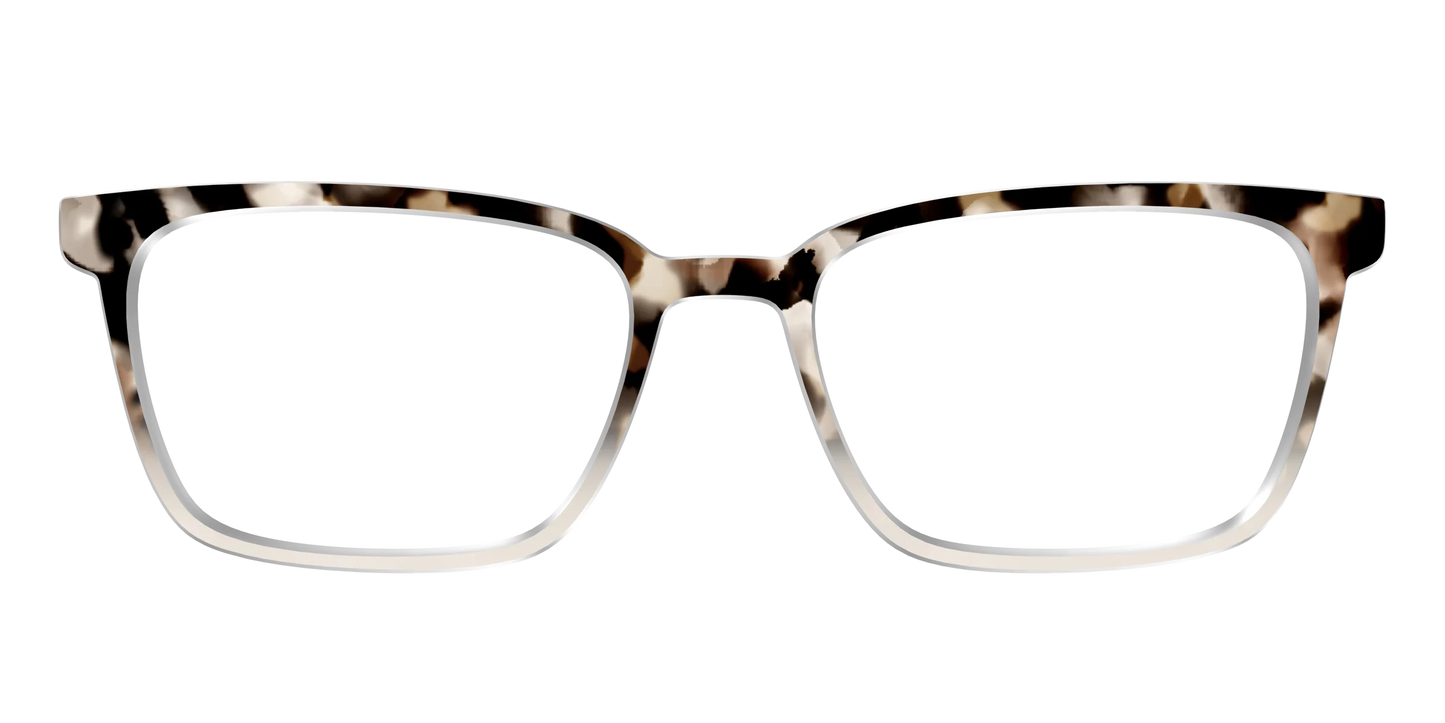 The Vanilla Latte Tortoise