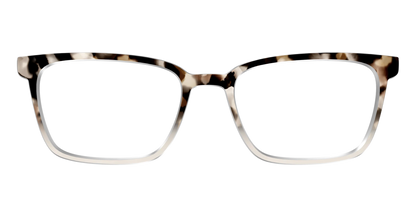 The Vanilla Latte Tortoise