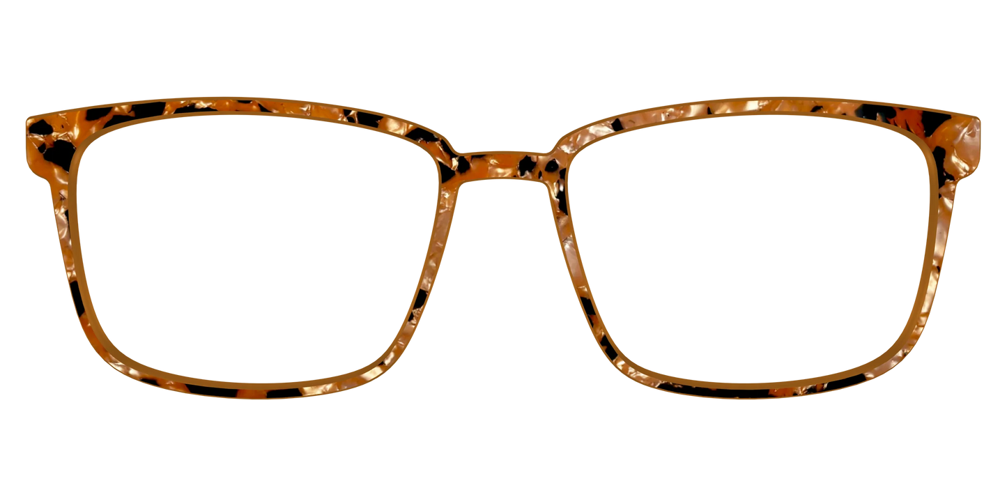 The Caramel Pearl Tortoise