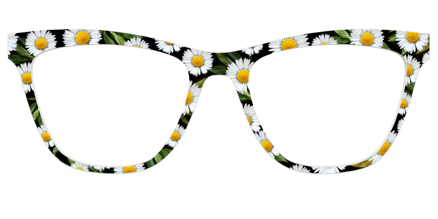 The Delicate Daisies