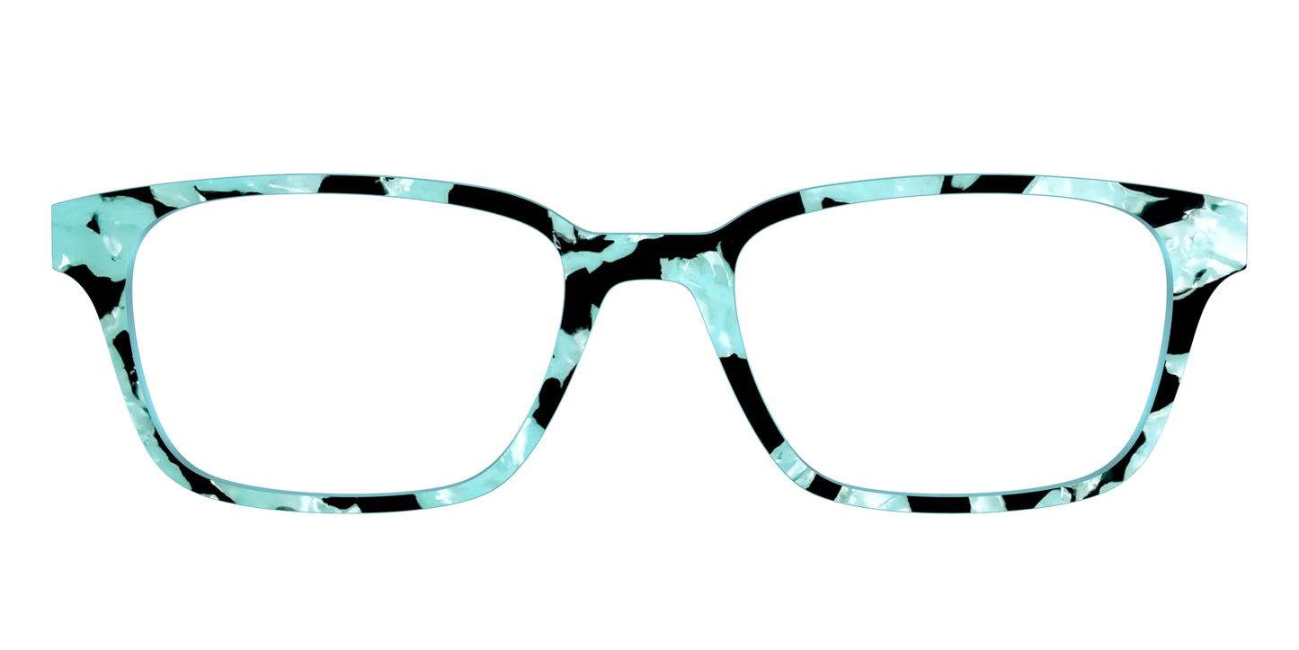 The Robin's Egg Pearl Tortoise