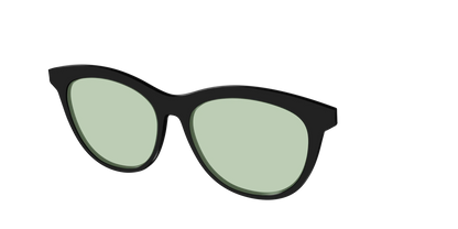 The Black With Sage Green Lens