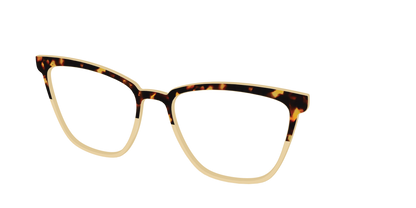 The Amber Tortoise Crystal Split