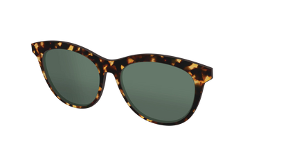 The Non-Polarized Green Tortoise Sun Top