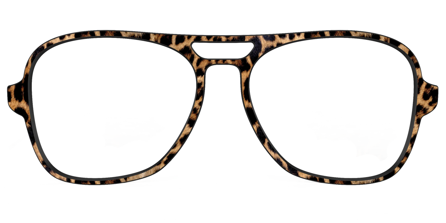 The Cheetah Spots