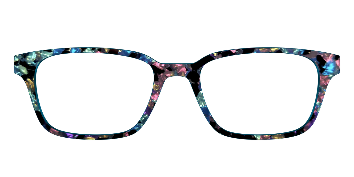 The Black Prismatic Pearl Tortoise