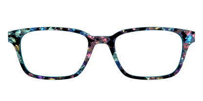 The Black Prismatic Pearl Tortoise