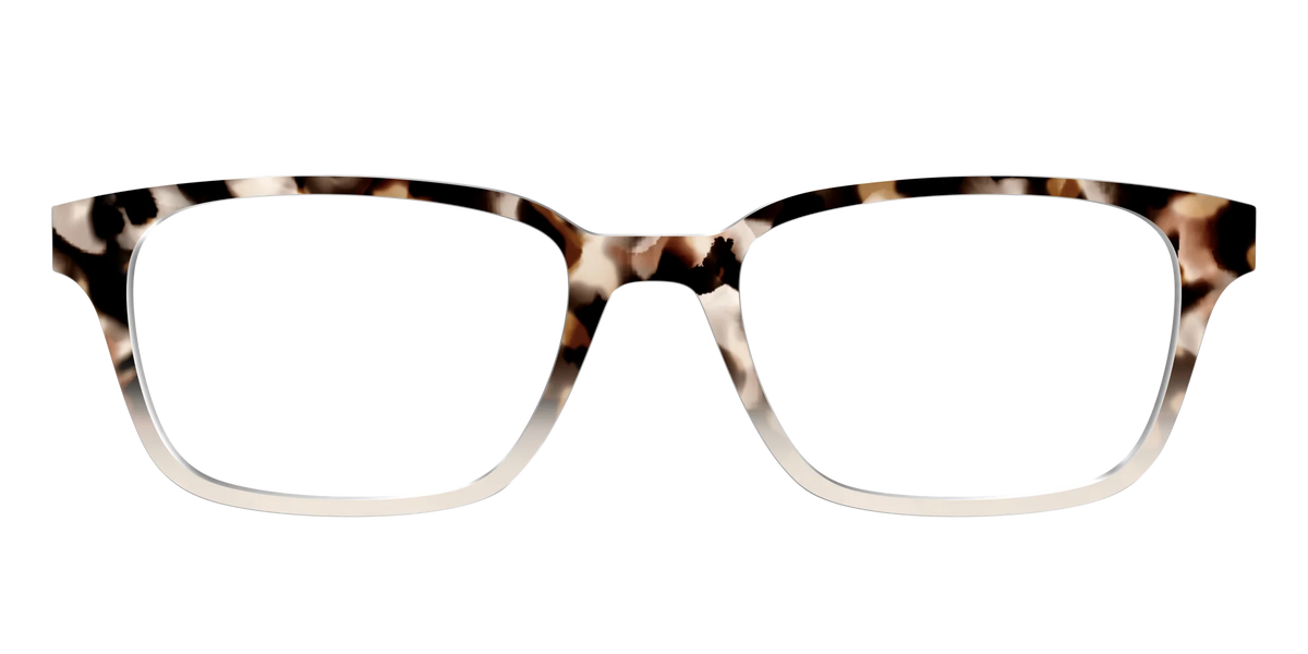 The Vanilla Latte Tortoise