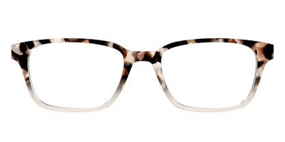 The Vanilla Latte Tortoise