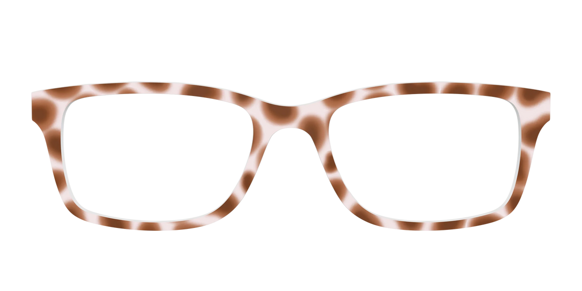 The Caffé Tortoise