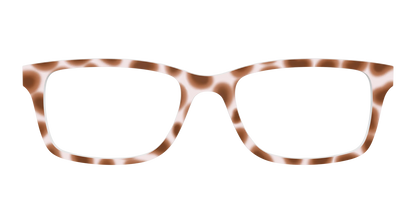 The Caffé Tortoise