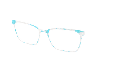 The Blue Sky Pearl Tortoise