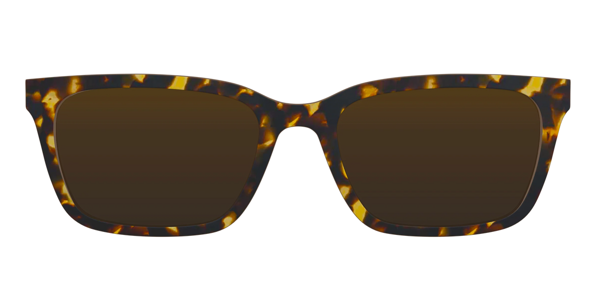 The Polarized Tortoise Sun Top
