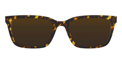 The Polarized Tortoise Sun Top