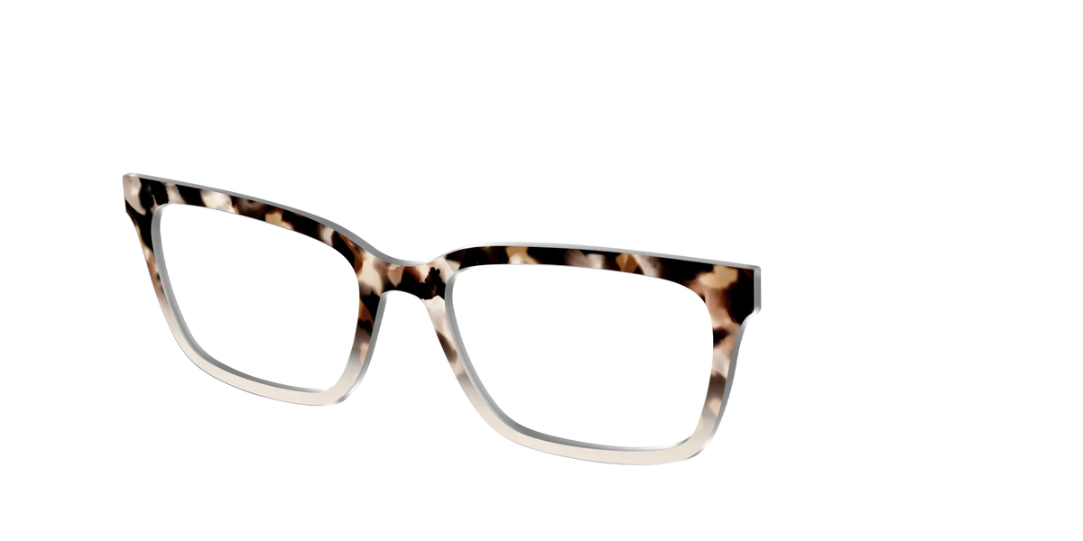 The Vanilla Latte Tortoise