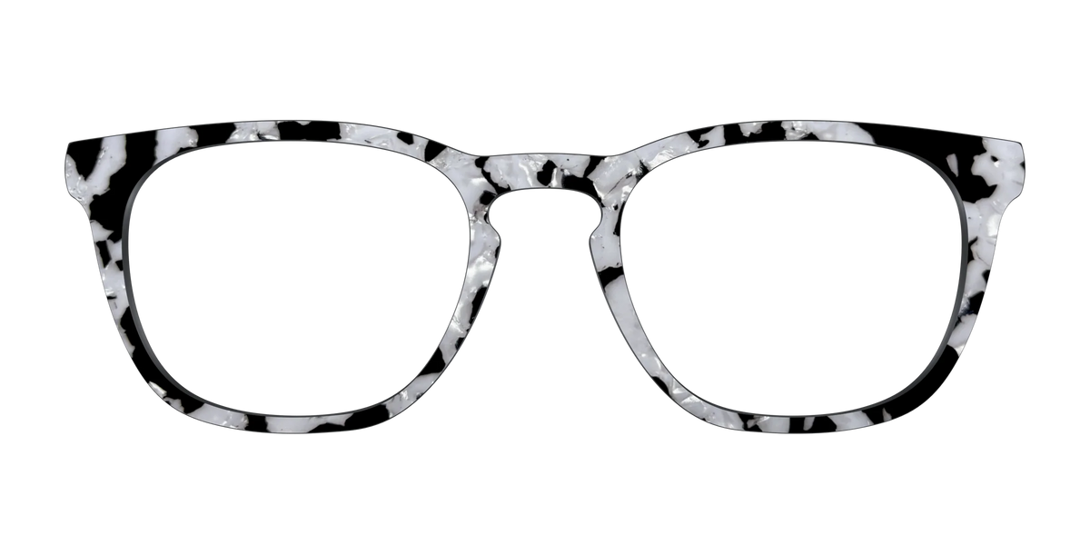 The Black & White Pearl Tortoise