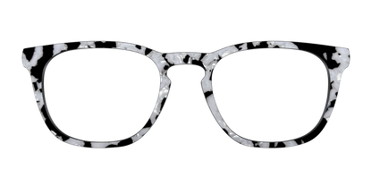 The Black & White Pearl Tortoise