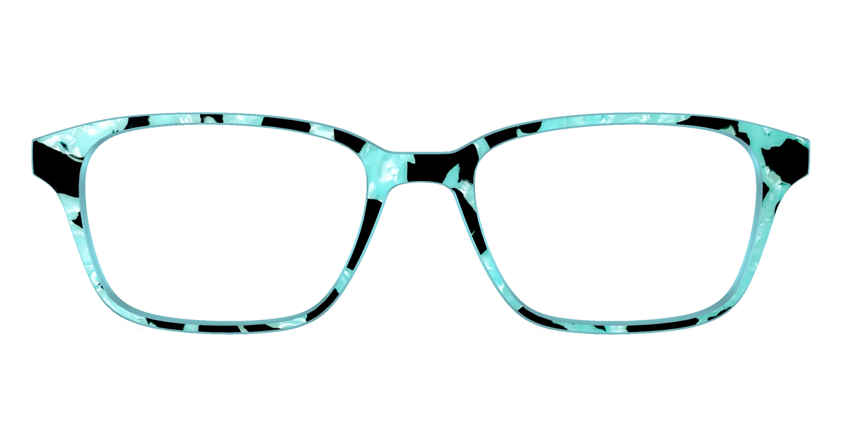 The Robin's Egg Pearl Tortoise