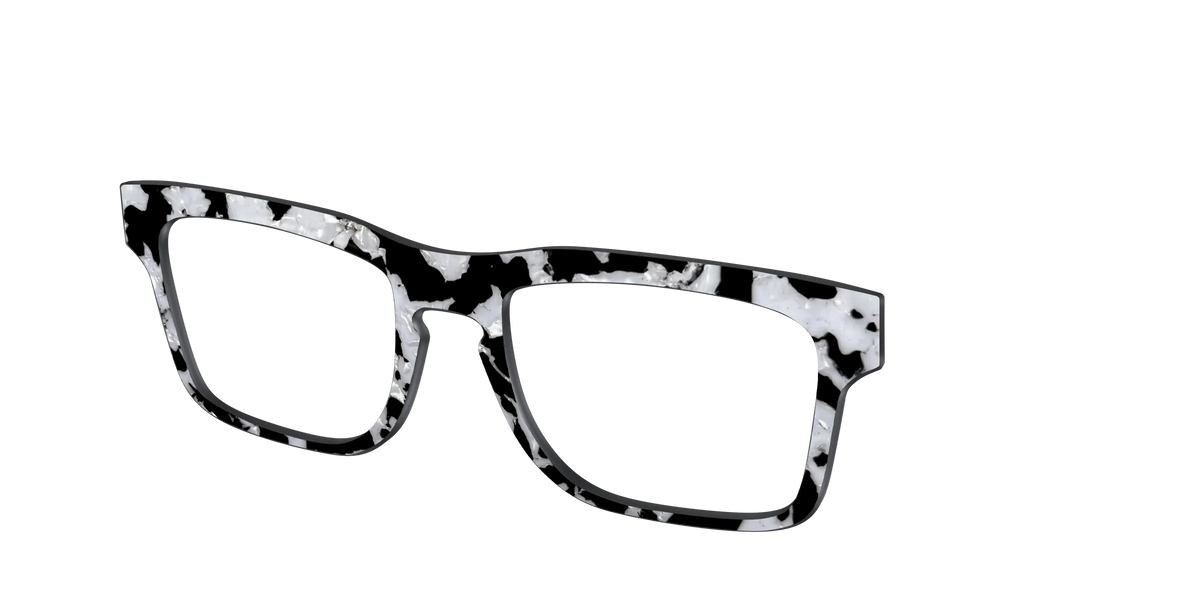 The Black & White Pearl Tortoise