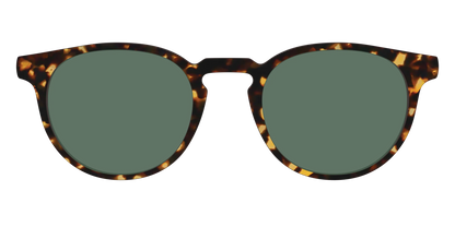 The Non-Polarized Green Tortoise Sun Top