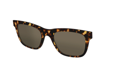 The Non-Polarized Tortoise Sun Top