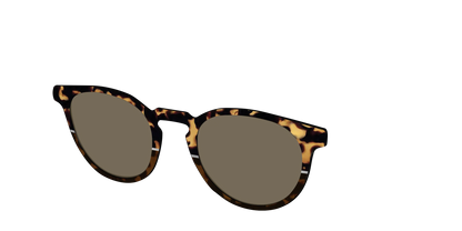 The Polarized Chic Tortoise Split Sun Top