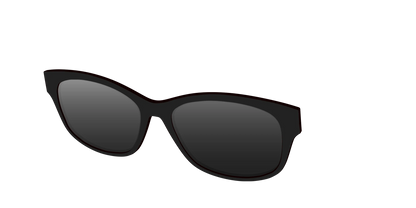 The Polarized Black Sun Top