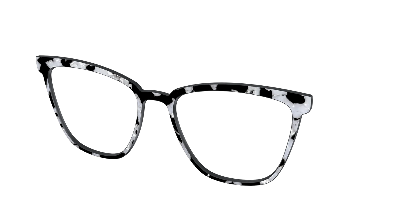 The Black & White Pearl Tortoise