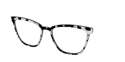 The Black & White Pearl Tortoise