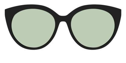 The Black With Sage Green Lens