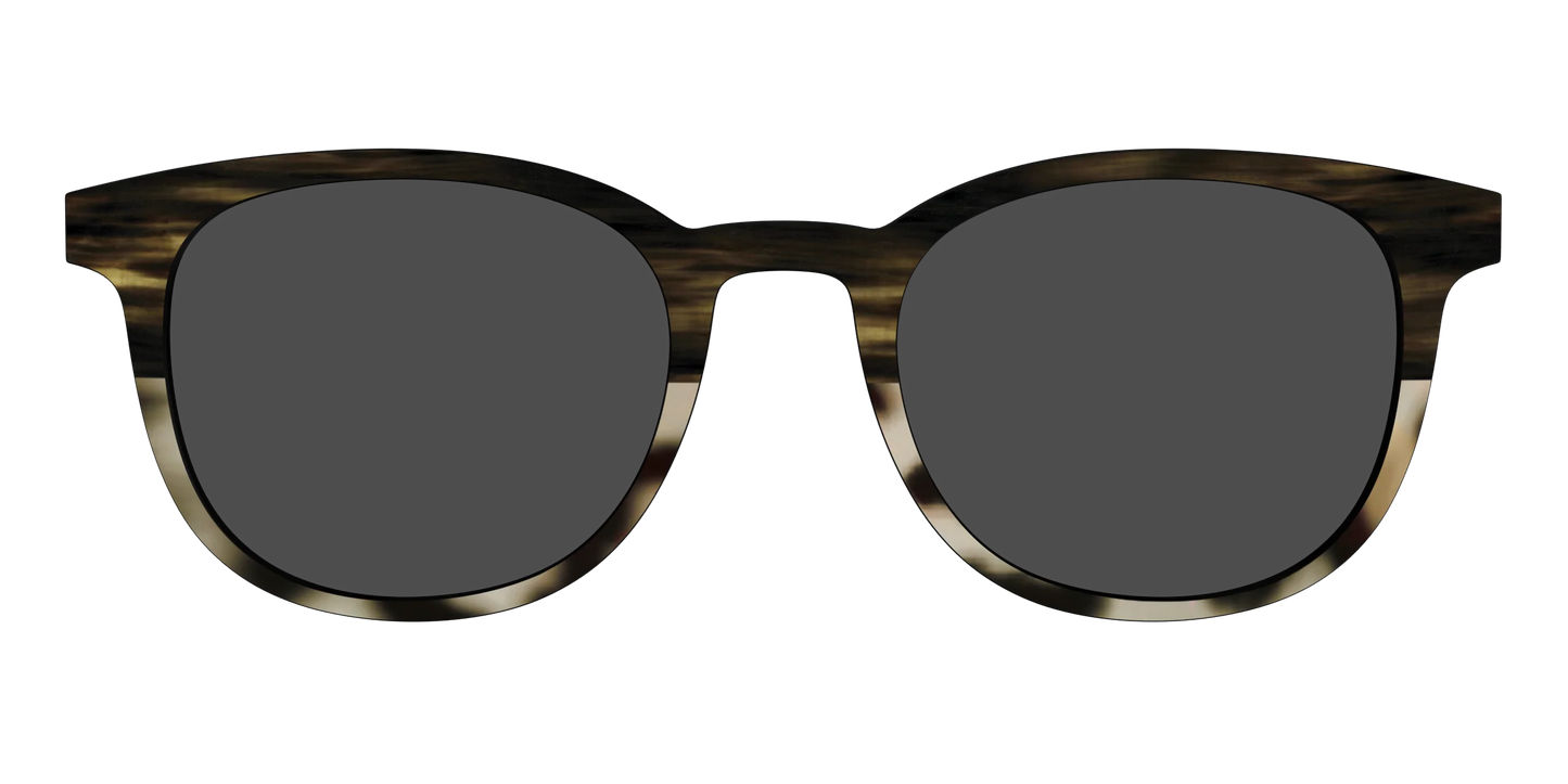 The Polarized Horn Tortoise Sun Top