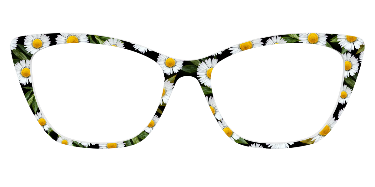 The Delicate Daisies