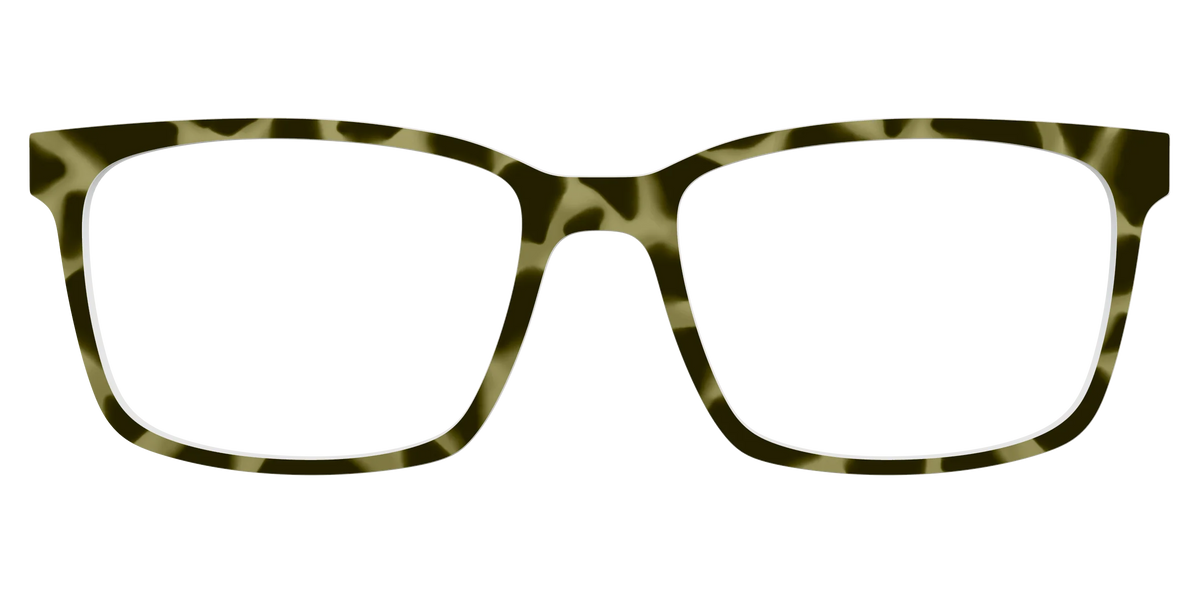 The Olive Tortoise