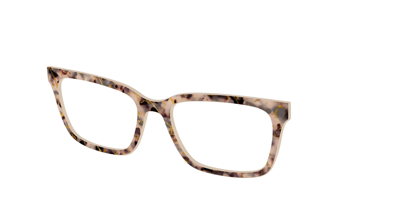 The Almond Tortoise with Gold Streaks