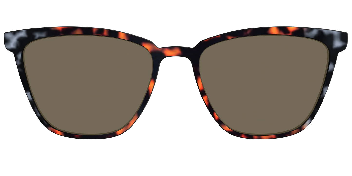 The Polarized Gray & Amber Tortoise Sun Top