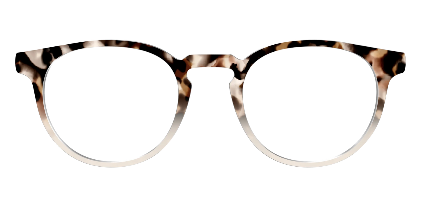 The Vanilla Latte Tortoise