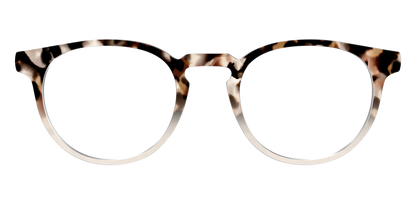 The Vanilla Latte Tortoise