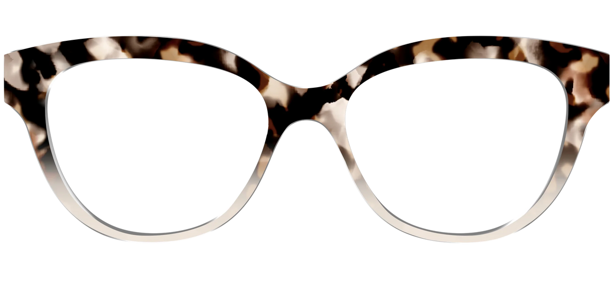 The Vanilla Latte Tortoise
