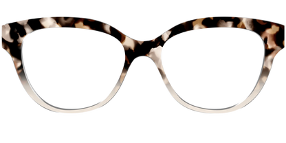 The Vanilla Latte Tortoise