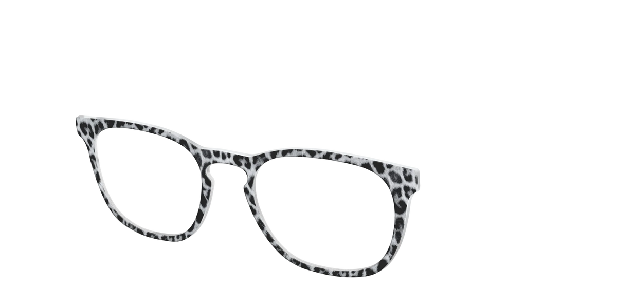 The Snow Leopard Spots