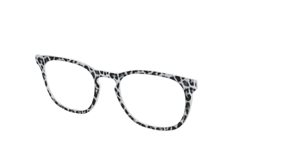 The Snow Leopard Spots