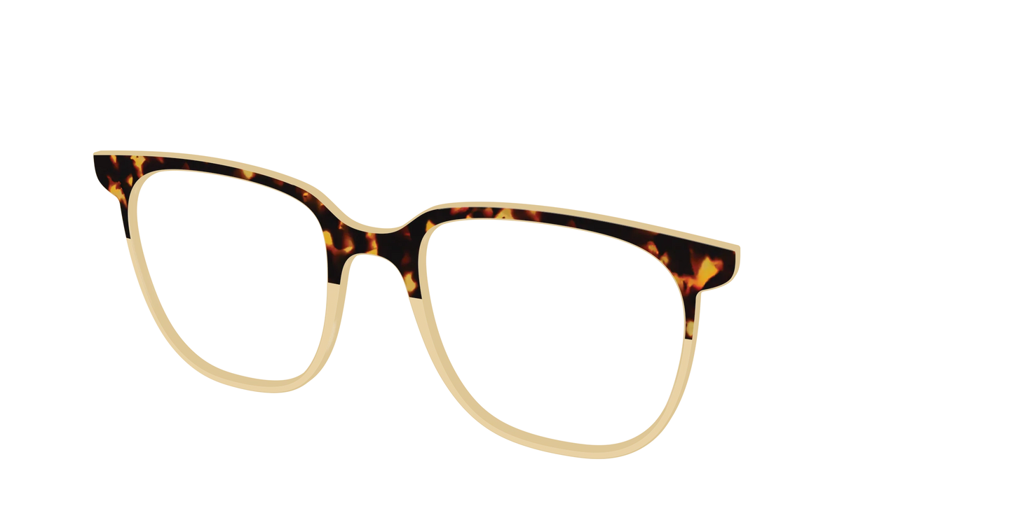 The Amber Tortoise Crystal Split