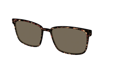 The Polarized Sienna Tortoise Sun Top