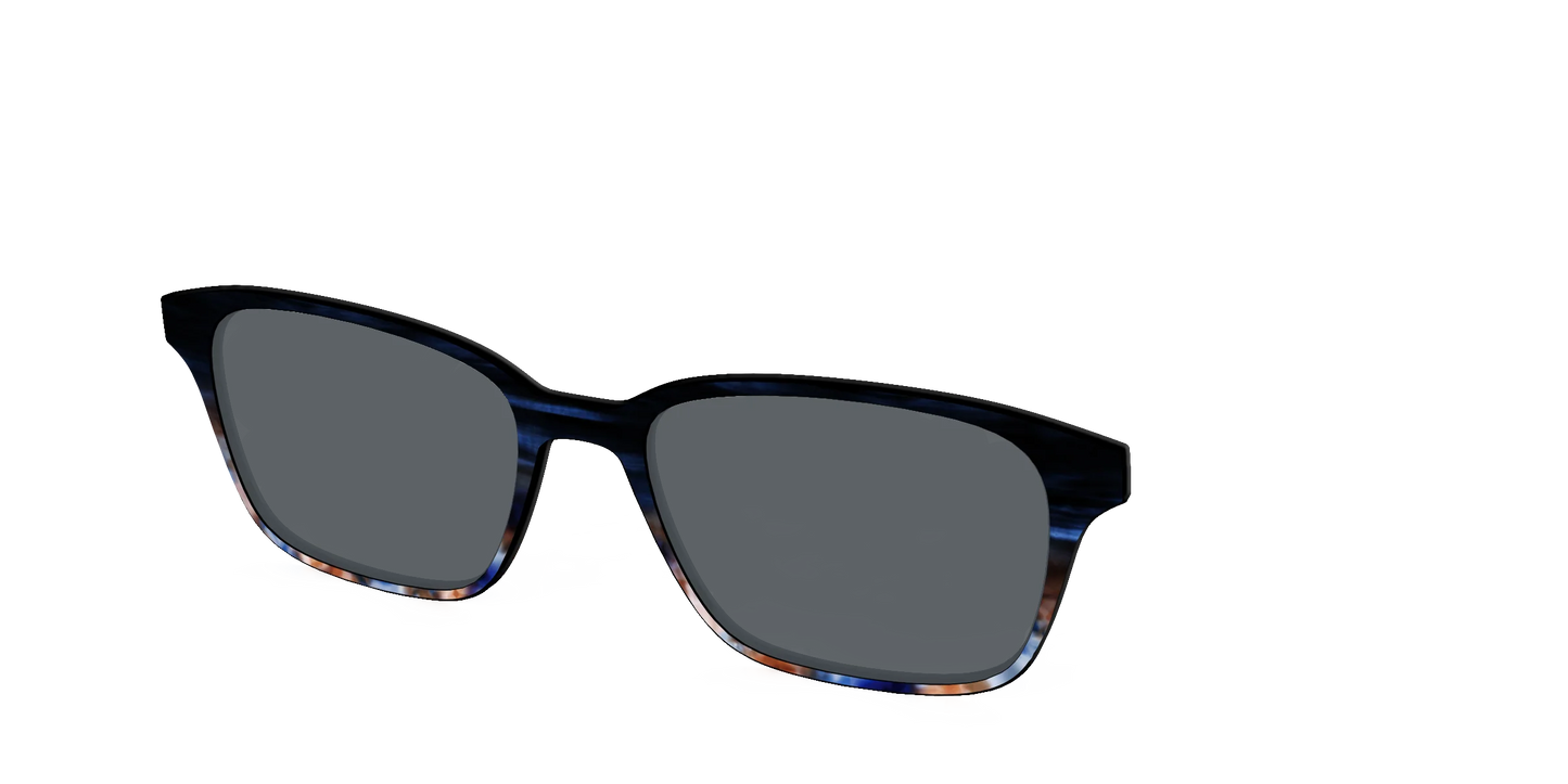 The Polarized Blue Horn Tortoise Sun Top