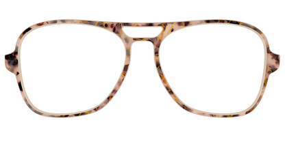 The Almond Tortoise with Gold Streaks