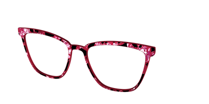 The Raspberry Pearl Tortoise
