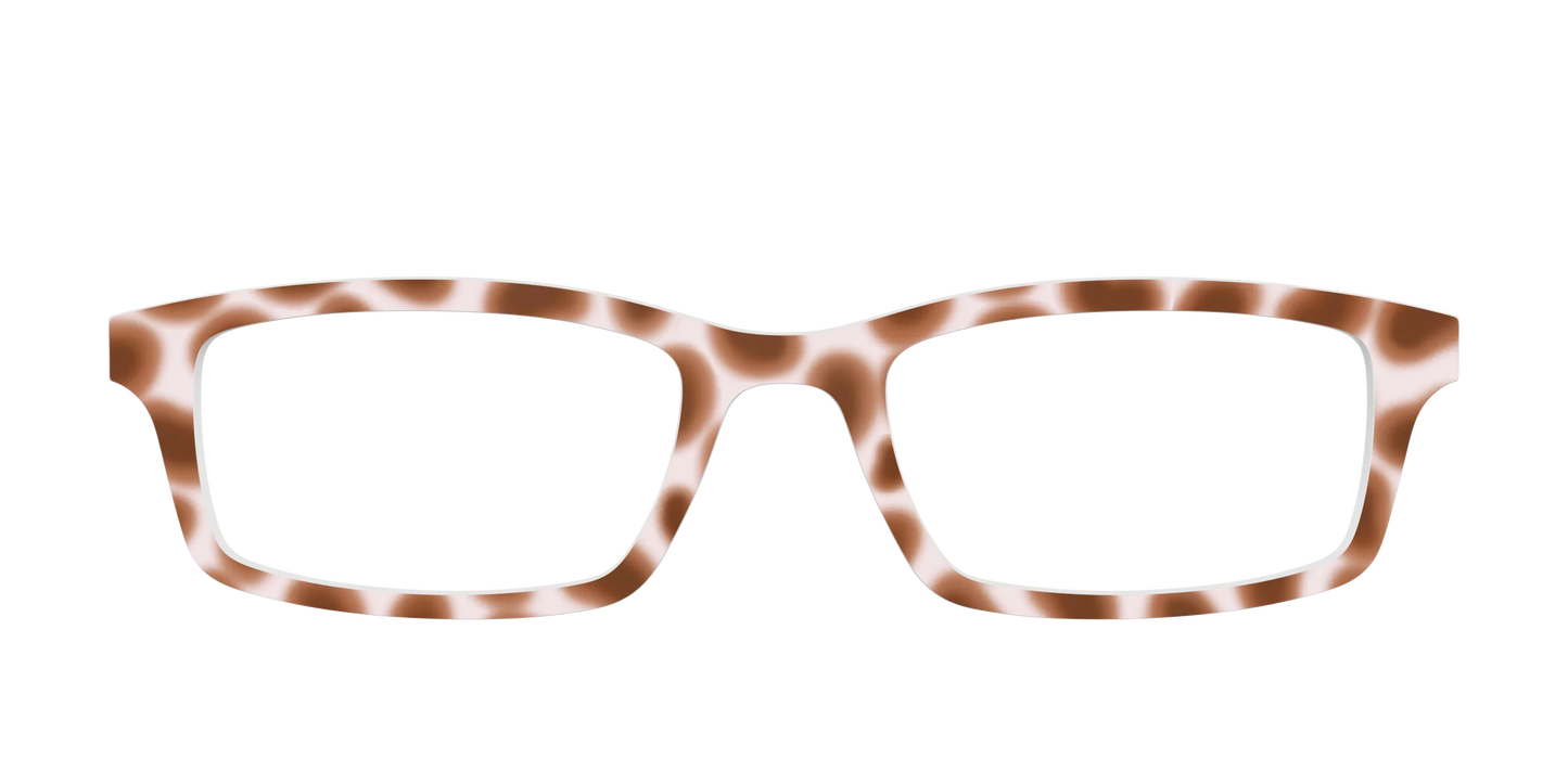 The Caffé Tortoise